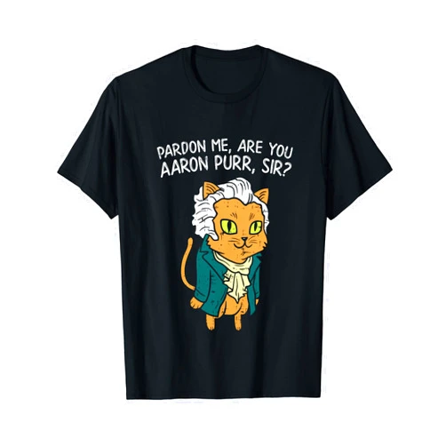 Funny 4th Of July Fourth Shirts Independence Gifts Are You Aaron Purr Sir Funny 4th Of July Hamilton Cat Gift T-Shirt