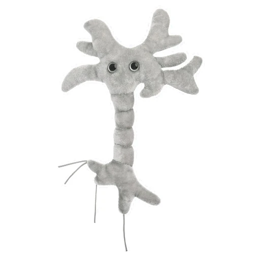 GIANT MICROBES GIANTmicrobes Brain Cell Plush, Neuron Plush, Neuroscience Gifts, Neurology Gifts, Science Plush, Neuron Model Anatomy, Psychology Gifts, Psychology Decor, Brain Themed Gifts, Mental Health Awareness