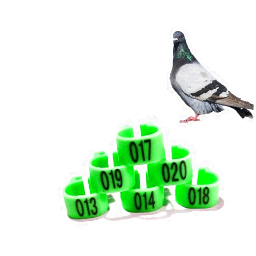 Gerrit Pigeon Band Chicken Leg Band Chicken Foot Ring Poultry Marking Ring Chicken Supplies Chicken Identification Ring 001-500 Green