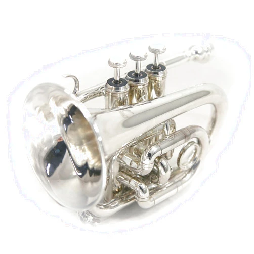 Sky Band Approved Silver Plated Bb Pocket Trumpet with Case, Cloth, Gloves and Valve Oil, Guarantee Excellent Sound