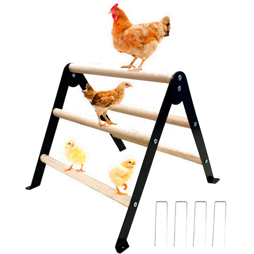 XINYI Baby Chick Perch Toys for Coop, Metal Stand with Natural Wooden Roosting Bars,Angle-Adjustable Chicken Coop Toys, Birds Training Platform for Cockatiels, Lovebirds and Parrot,15.7