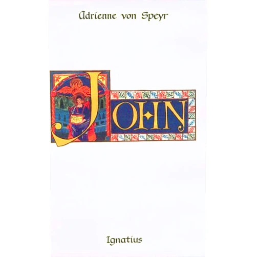 Adrienne Von Speyr,Brian McNeil,Hans Urs von Balthasar John: The Discourses of Controversy: Meditations of John 6-12 (Volume 2)