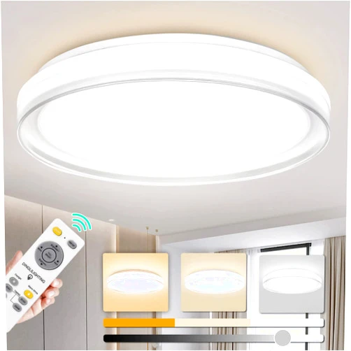 DINGLILIGHTING 19 Inch Modern Dimmable Led Flush Mount Ceiling Light with Remote Control, 48W Round Close to Ceiling Lights Fixture for Bedroom Living Room Dining Room, Timing, 3 CCT, UL Listed