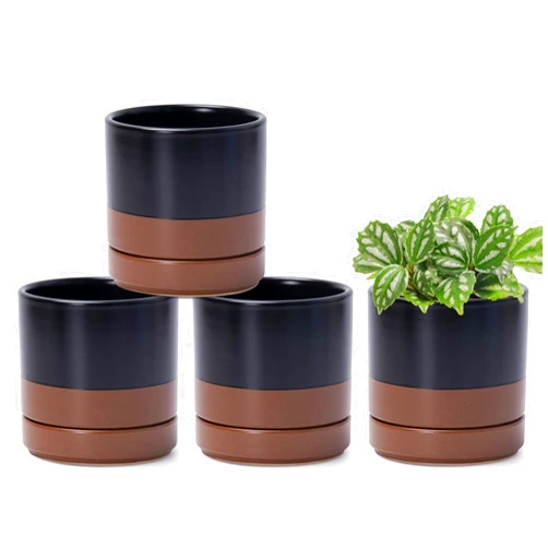 D'vine Dev Set of 4 Small Ceramic Plant Pots, 4.7 Inch Succulent Planter Pot for Plants with Drainage Hole and Saucer, Black/Speckled Tan, 94-X-B-7