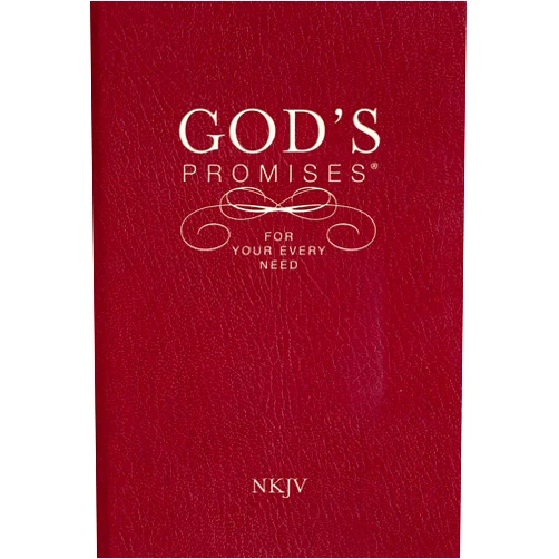By Thomas Nelson (Author), A. Gill (Compiler) God's Promises for Your Every Need, NKJV: A Treasury of Scripture for Life