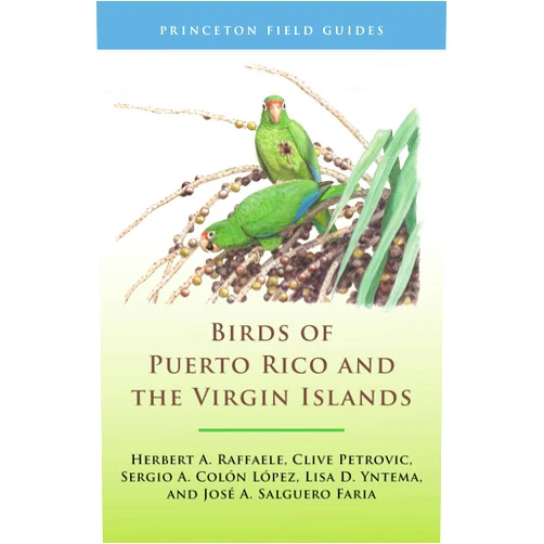 Herbert A. Raffaele,Clive Petrovic,Sergio A. Colón López,Lisa D. Yntema,José A. Salguero Faria Birds of Puerto Rico and the Virgin Islands: Fully Revised and Updated Third Edition (Princeton Field Guides)