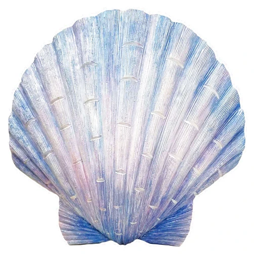 World of Wonders Gifts World of Wonders - Ocean Harmony Series - Captiva - Elegant Scallop Seashell Wall Sculpture Hand-Painted Easy Mount Beach House Shabby Chic Sea Life Marine Nautical Home Decor Accent, 8.5-inch