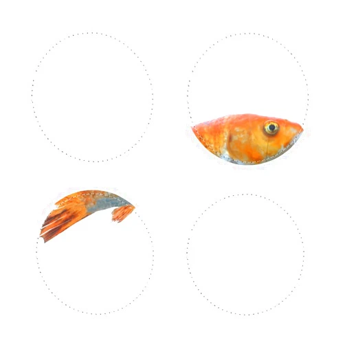 Generic OrangeFish Sublimation Coasters Pack of Four Coaster Round