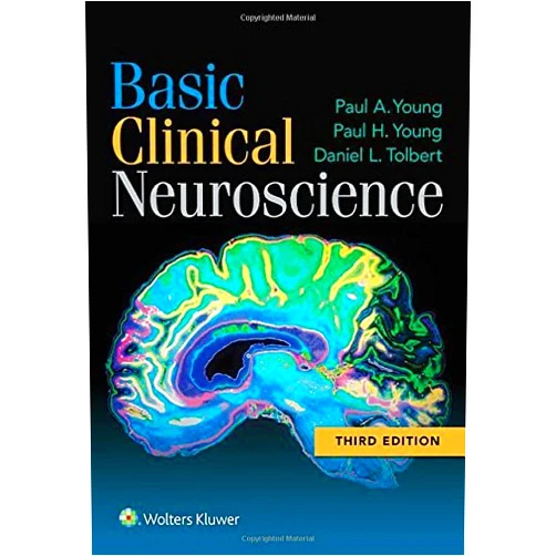 By Paul A. Young PhD (Author) Basic Clinical Neuroscience by Paul A. Young PhD Paul H. Young Daniel L. Tolbert PhD(1990-05-10)