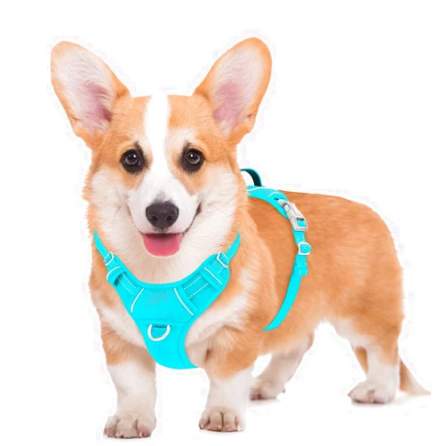 BARKBAY No Pull Dog Harness Large Reflective Dog Harness with Front Clip and Easy Control Handle for Walking Training Running with ID tag Pocket(Ocean Blue,M)