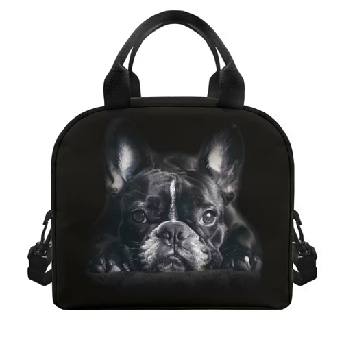 PCSJRKG French Bulldog Reusable Lunch Box for Office, Leakproof Cooler Bag Lunch Bag with Adjustable Strap for Kids, Boys, Girls
