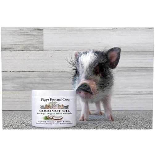 Piggy Poo and Crew Coconut Oil for Pets – Natural Cherry Scent, Botanical Infusion, Skin & Coat Moisturizer for Pigs, Dogs & Small Animals