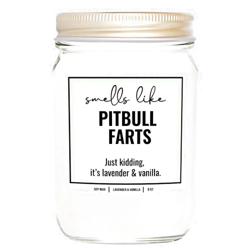 YouNique Designs You Nique Designs Smells Like Pitbull Farts Soy Candles for Pitbull Lovers - Pit Bull Mom Gifts for Women - Pitbull Mom Present Dog Farts Candle 4oz - Gifts for Dog Lovers (Lavender & Vanilla)