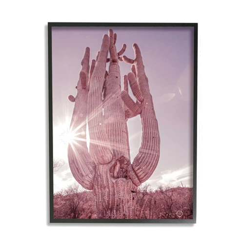 Stupell Industries Desert Sun Cactus Landscape Solar Flare Photography
