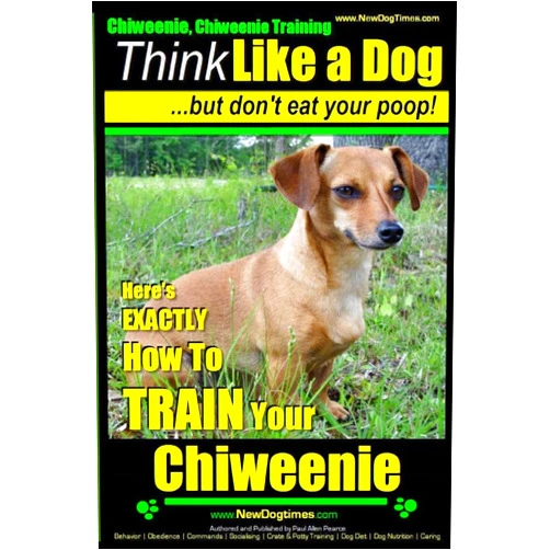 Mr. Paul Allen Pearce Chiweenie, Chiweenie Training AAA AKC Think Like a Dog...but Don't Eat Your Poop!: Chiweenie Breed Expert Dog Training - Here's EXACTLY How To Train ... Chiweenie Training, Chiweenie Books)