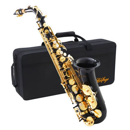 LeSage Alto Saxphone E Flat Black Saxophone for Beginners Student Alto Sax With Carrying Sax Case Adult Saxofon Alto Saxaphone Music Instrument