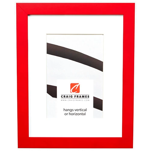 Craig Frames Confetti, 19 x 25 Inch Modern Red Picture Frame Matted to Display a 14 x 20 Inch Photo