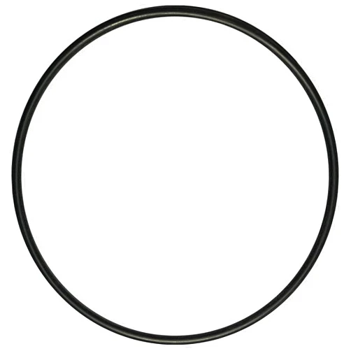 AppliaFit O-Ring Compatible with Jandy Zodiac R0374500 for Jandy Energy Filter and Ray-Vac Automatic Pool Cleaner (1-Pack)