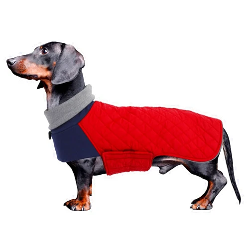 Geyecete Dachshund Coat,Dachshund Winter Coat,Warm Dachshund Coat Waterproof Windproof, High Neckine String Holes Miniature Dachshund Jacket for Small Dog-Red-M