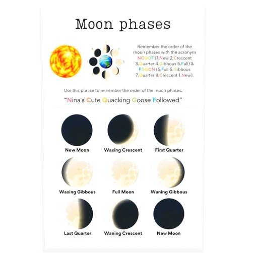 Printlabz Moon Phases Classroom Poster - Science Classroom Poster - Learning the Moon - 12 x 18 Inch - Classroom Decor - Classroom Must Haves - Back To School Decor - CPS0250