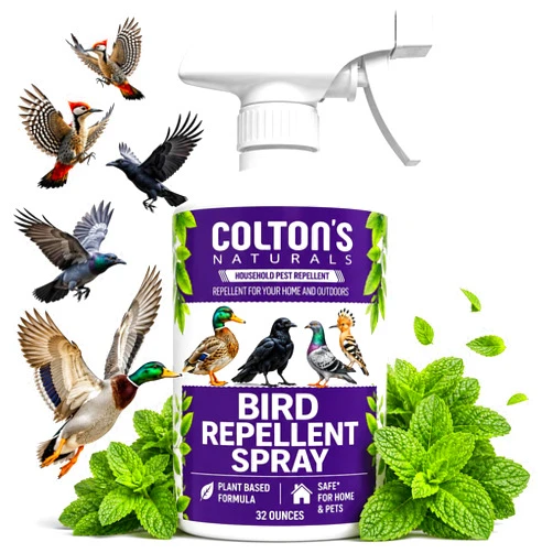 Colton's Naturals Bird Repellent Spray (32 OZ) Deter Birds from Outdoor Surfaces, Garden Areas Deterrent Natural Woodpecker, Pigeon and More Natural