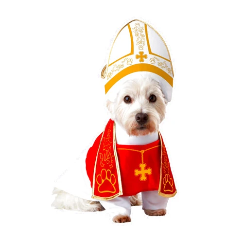 California Costumes CALIFORNIA COSTUME COLLECTIONS Pet HOLY HOUND Dog Costumes, Red/White, Large US