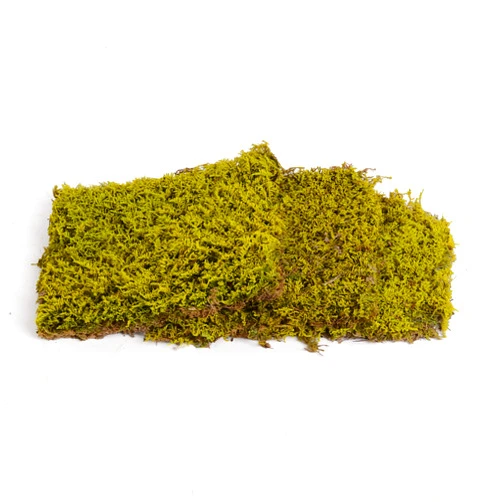 Amoueterno 2 sq.ft. Sheet Moss 9.8