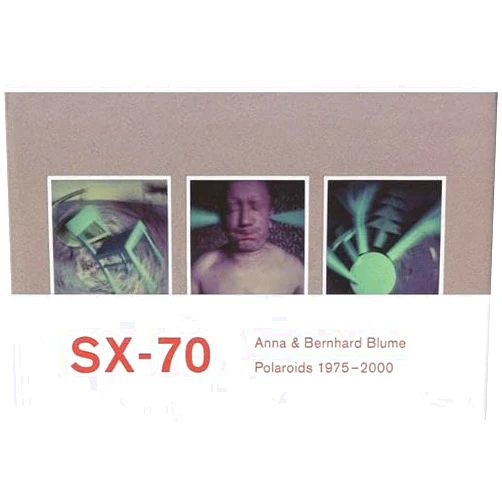 Anna Blume,Bernhard Blume,Jean-Luc Monterosso,Emmanuelle de l'Ecotais,Francoise Paviot,Anna & Bernhard Blume Anna & Bernhard Blume: Polaroid-Collages 1975-2000