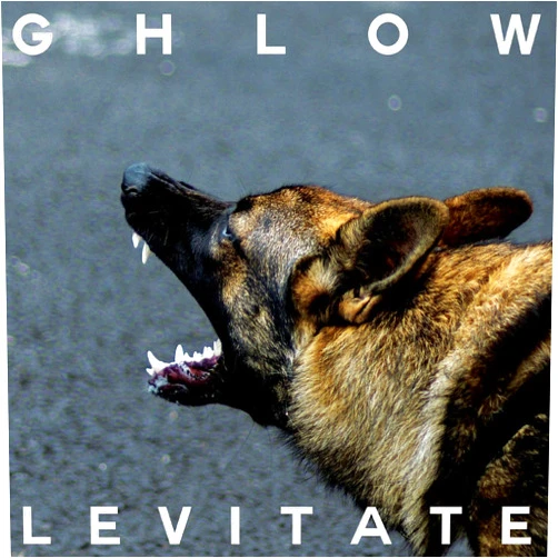 Ghlow (Artist) Format: Vinyl Levitate