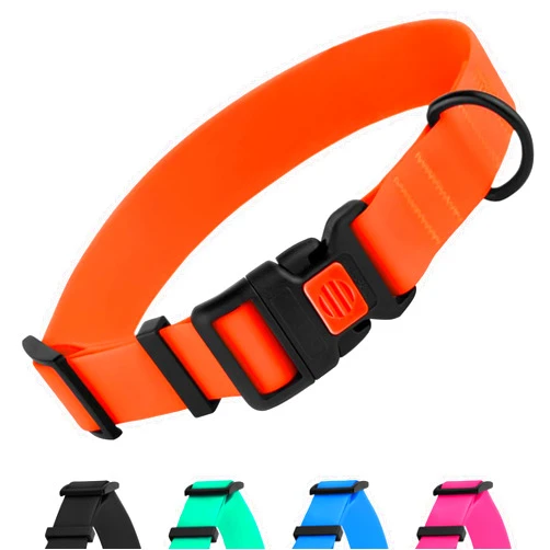 CollarDirect Adjustable Dog Collar Colorful Waterproof Pet Collars for Small Medium Large Dogs Puppy Pink Black Blue Mint Green Orange (Neck Fit 10