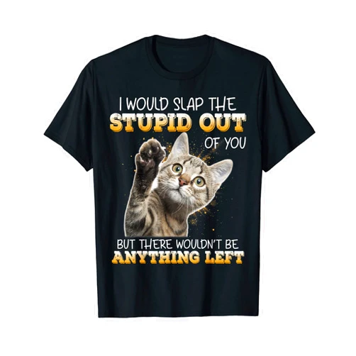 I Would Slap The Stupid Out Of You But There WOuldn't Be T-Shirt