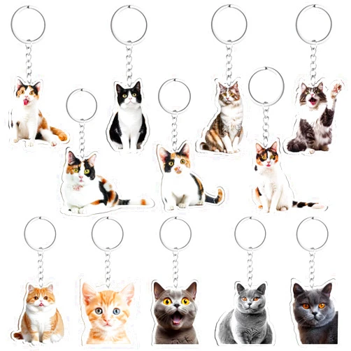 Neptniopllab 12Pcs Cat Keychains Cute Funny Cat Keychains Emotion Cat Charm Keyrings Kawaii Cats Charm Keychain for Purse Wallet Cat Lover Gift