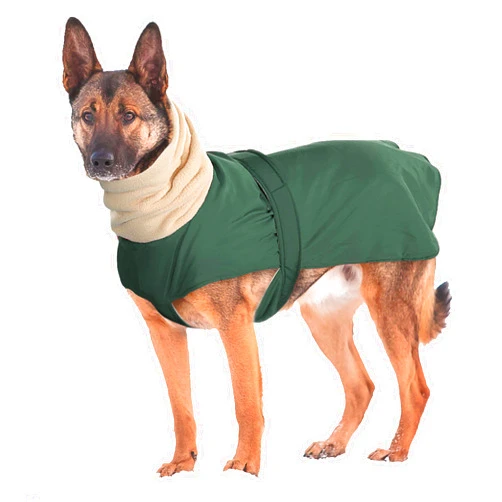 Didog Waterproof Dog Winter Jacket with Turtleneck Scarf, Pets Cold Weather Coats with Soft Warm Fleece Lining,Windproof Snowsuit Outdoor Apparel for Medium Large Dogs,Green
