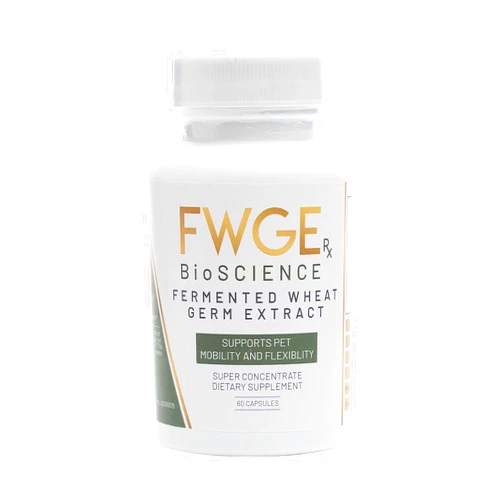 FWGE Rx BioSCIENCE Spermidine Pet Joint Health Premium Fermented Wheat Germ Extract, Mobility, Flexibility, Cellular Health, Non-GMO, Gluten-Free, Sugar-Free, Vegan, Natural, 1 Bottle 60 Capsules