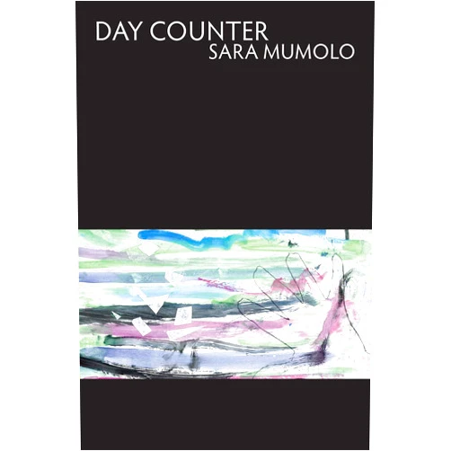 Sara Mumolo Day Counter