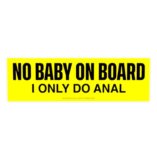 Skyler Sticker Co No Baby On Board I Only Do Anal Sticker Vinyl Decal Bumper Sticker 5