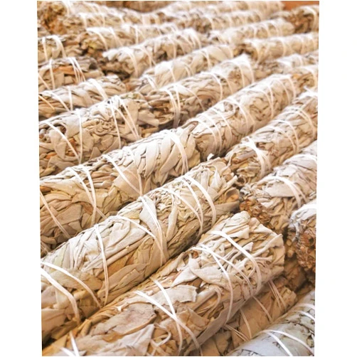 Worldly Finds Bulk Sage Bundles Wholesale 25 Pack, Fresh Organic Smudge Sticks, White Sage Sticks for Home Cleansing, Smudging Sage Bulk, Wholesale Sage with Instructions, Charitable! (White Sage - 25 Sticks)