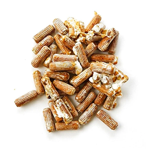 2funguys 100 Oyster 100 Mushroom Plug Spawn Edible Mycelium Plugs