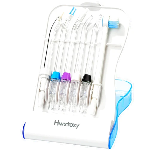 Hwxtoxy Waterpik Replacement Picks Replacement Tips for Waterpik Water Flosser, Waterpik Replacement Heads, Storage Case & AquaFlosser 6 Tips (Aquaflosser 6 Tips)