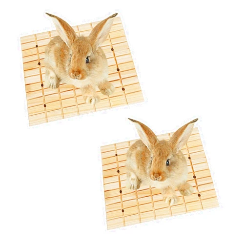 Dnoifne 2 Pack Rabbit Wooden Scratch Board, Bunny Foot Pad, Teeth Grinding Toys for Small Animal, Claws Scratching Pad Toy and cage Accessories for Hamster Chinchilla Guinea Pigs(10.62×7.87