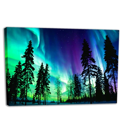 MODOJOART Aurora Borealis Canvas Wall Art, Green and Purple Aurora Trees Painting Poster Aurora Lights Starry Scenery Picture Print for Bathroom Hallway Decor(Artwork-03, 18