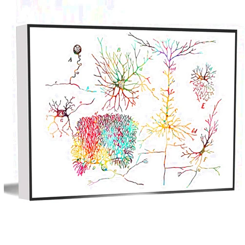 LigLzve Nerve Cells Watercolor Print Gif Medical Art Clinic Decor Science Teen Bedroom Decor Wall Decor For Men Home Office Decor 8x12 Inch Framed Modern Canvas Wall Art