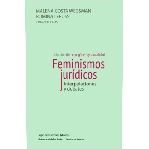 Malena Costa Wegsman,Romina Lerussi Feminismos jurídicos interpelaciones y debates (Spanish Edition)