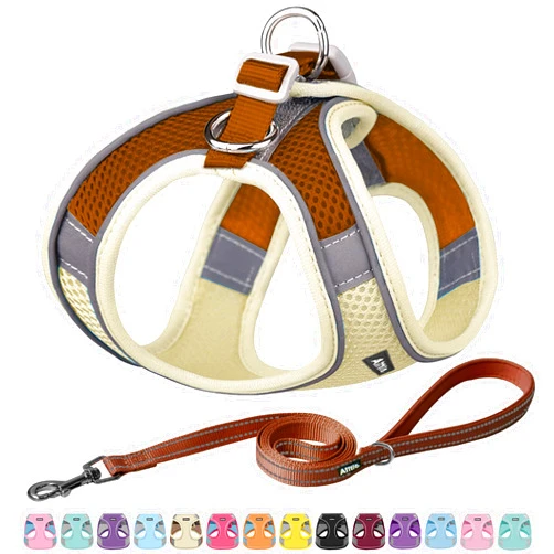 AIITLE Dog Harness, Summer No-Pull Cat Harness with a Leash, Adjustable Reflective Dog Vest, Cat Harness Escape Proof, Outdoor Walking, Running,Training for Extra Small Dogs and House Cats Beige XXXS