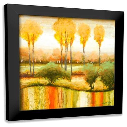 ArtDirect - Marcon, Michael 15x15 Black Modern Framed Art Print Titled: Early Morning Meadow II