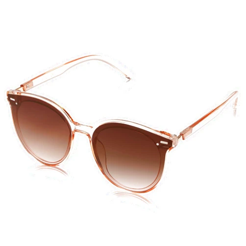 SOJOS Sunglasses Womens Trendy 2024 Classic Round Retro Vintage Shades Large Frame Sunnies SJ2067