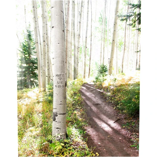 Handmade Personalized Aspen Forest Print, Romantic Gift for Couple, Newlyweds Gift, Personalized Décor, Birch Tree Print