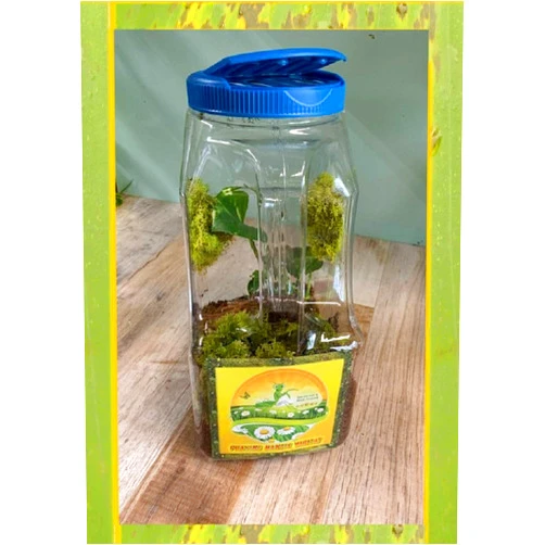 InsectSales Habitats - Clear Plastic - Ventilated - Convenient Handle Design