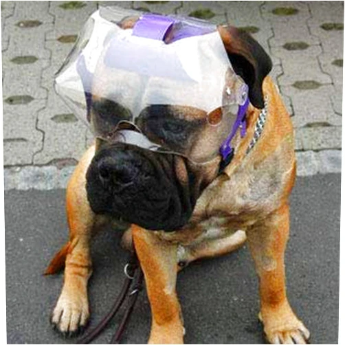 Optivizor Short Snout Dog Eyes & Face Protector, Mini/Mini 3 lb