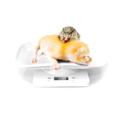 BEE STUNG LIPS TAIGUJI Small Pet Scale for cat and Dog, Electronic Puppy Scales Kitchen Scale, Tray Portable Digital Scale for Small pet Hatching and Food Weighing, Add Automatic Peeling Function Automatic Shutdown